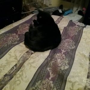 Meet your Posher, Pam